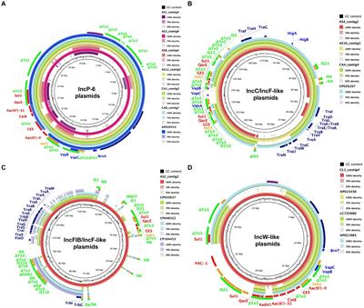 Novel insights into genetic characteristics of blaGES-encoding plasmids from hospital sewage